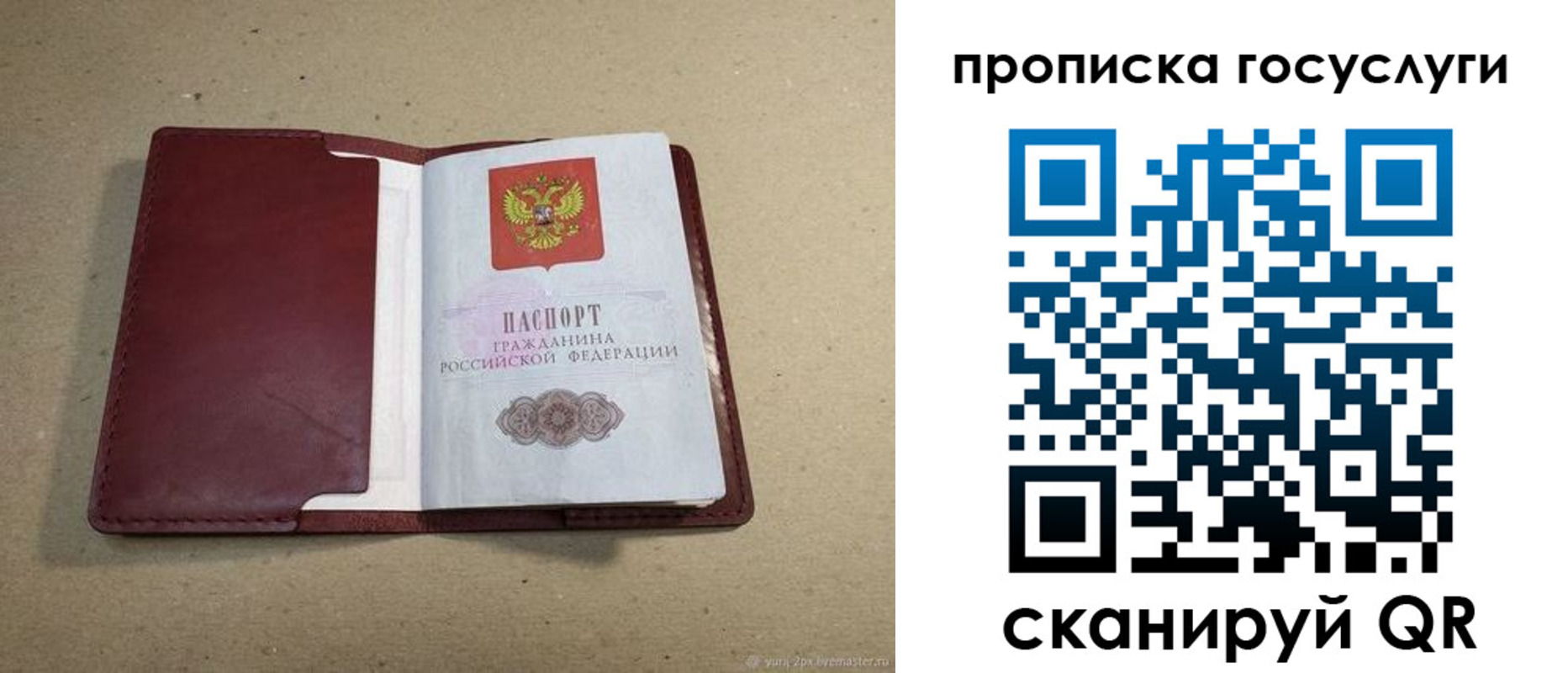 прописка поиск в Сосенском